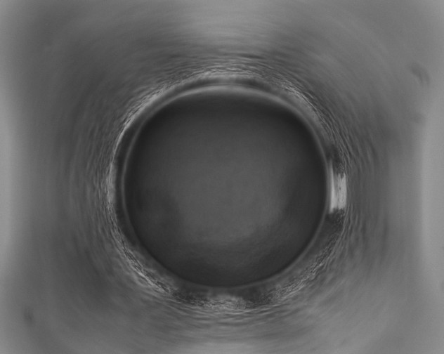X0000111600387200907161557