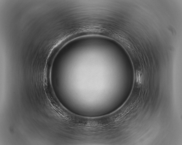 X0000111600388200907161557