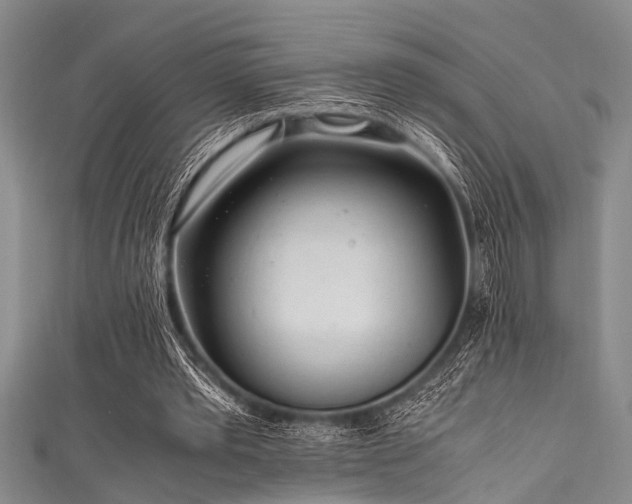 X0000111600389200907161557