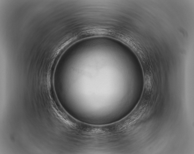 X0000111600390200907161557