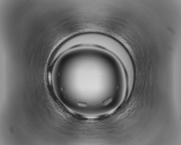 X0000111600391200907161557