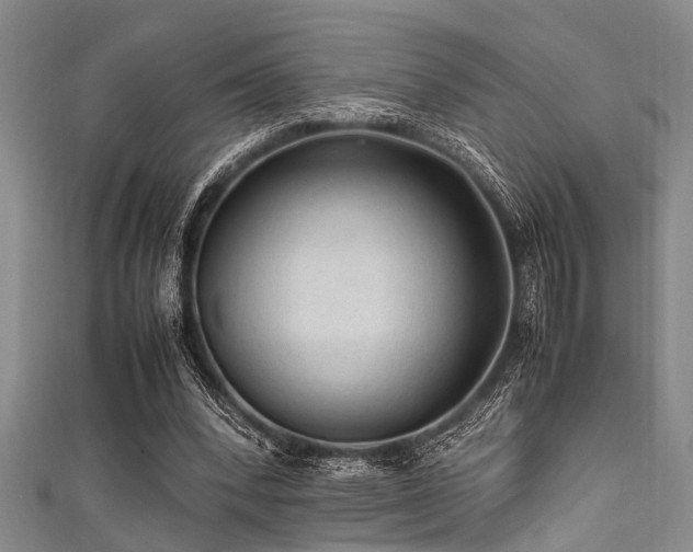 X0000111600392200907161557