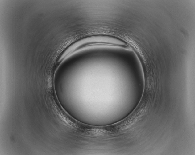 X0000111600393200907161557
