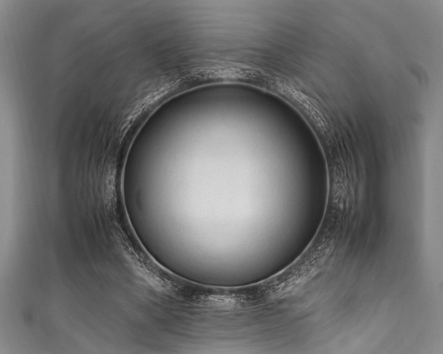 X0000111600394200907161557