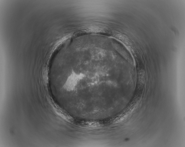 X0000111600395200907161557