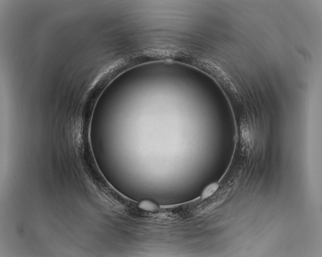 X0000111600396200907161557