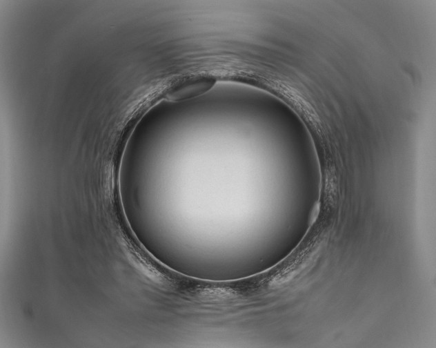 X0000111600397200907161557