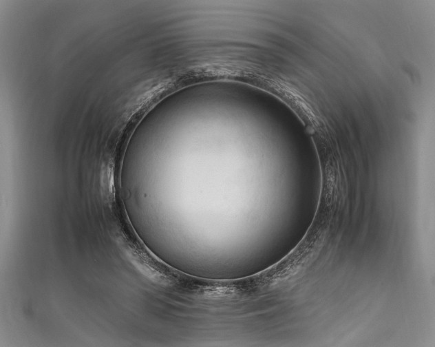 X0000111600398200907161557