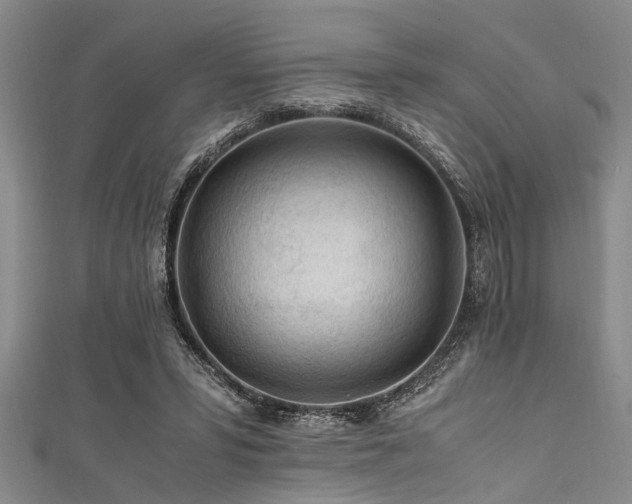 X0000111600399200907161557