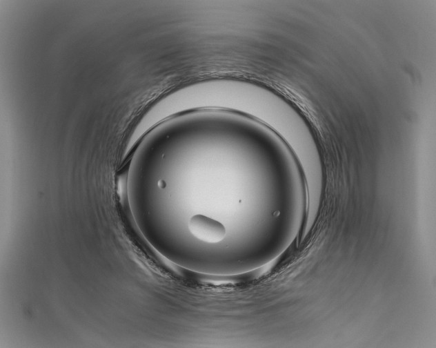 X0000111600401200907161557