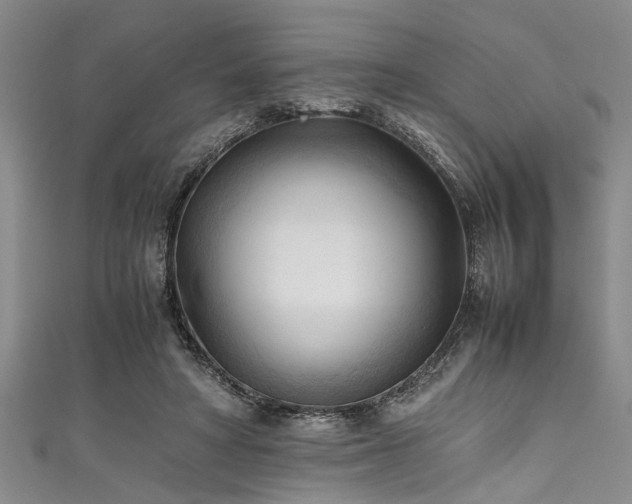 X0000111600402200907161557