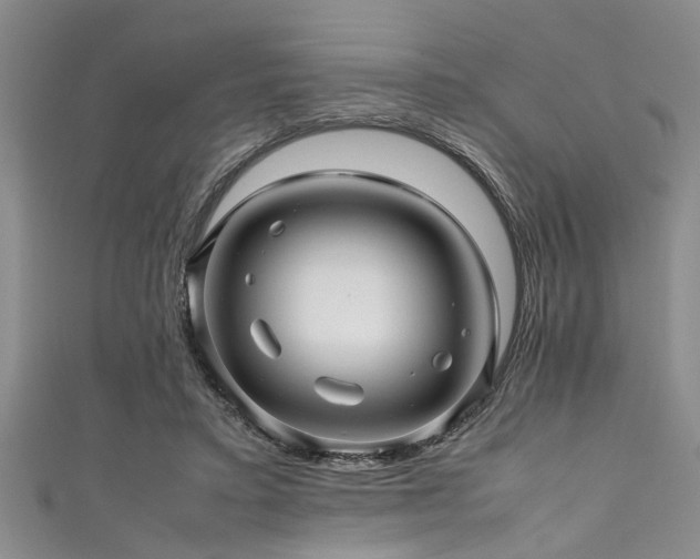 X0000111600403200907161557