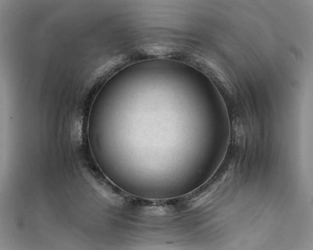X0000111600404200907161557