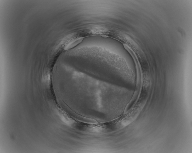 X0000111600405200907161557