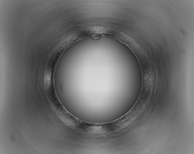 X0000111600406200907161557