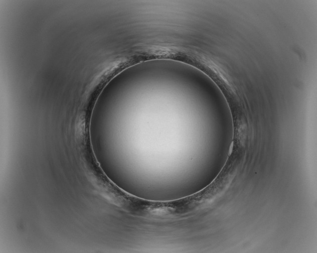 X0000111600407200907161557