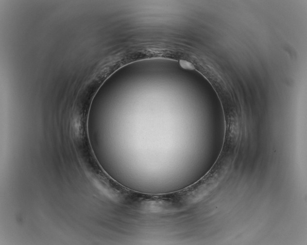 X0000111600408200907161557