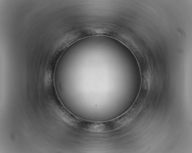 X0000111600410200907161557