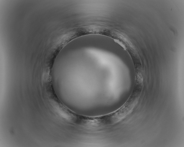 X0000111600411200907161557