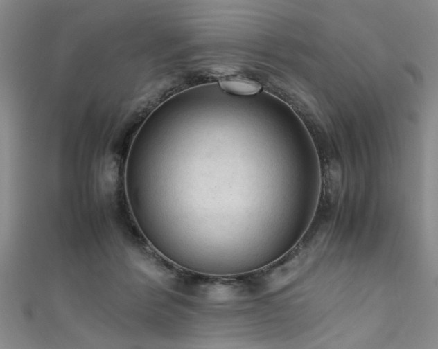 X0000111600412200907161557