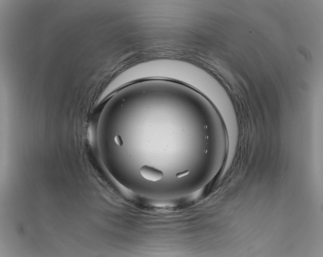 X0000111600413200907161557