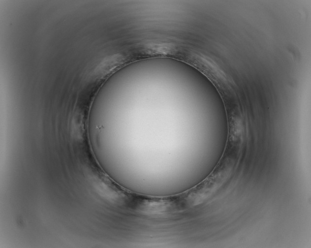 X0000111600414200907161557