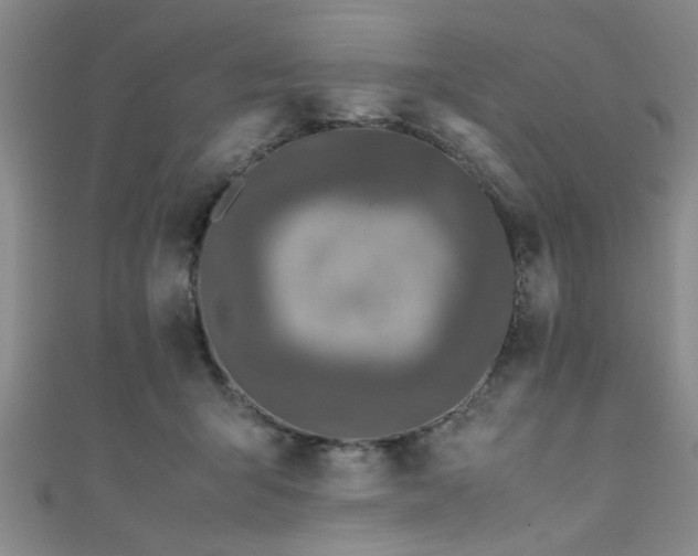 X0000111600415200907161557