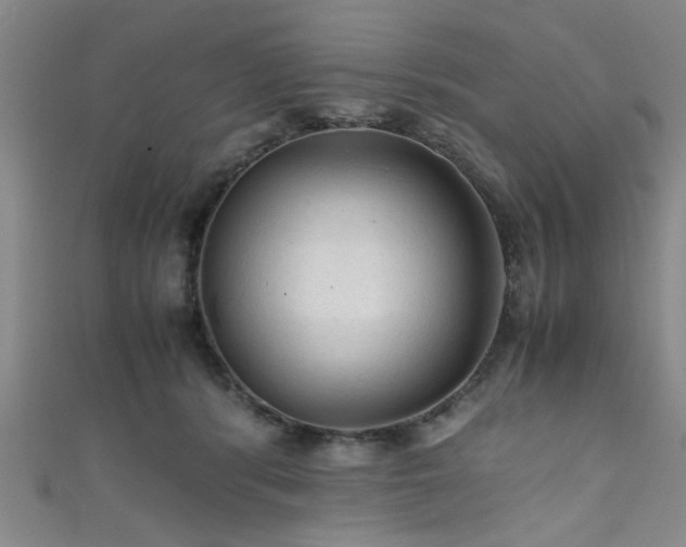 X0000111600416200907161557