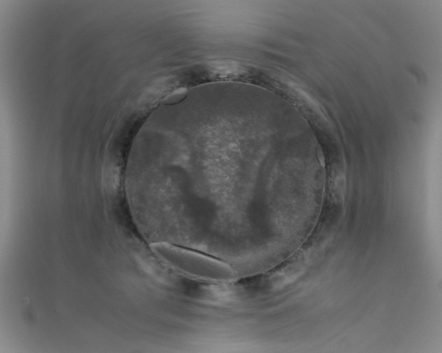 X0000111600417200907161557