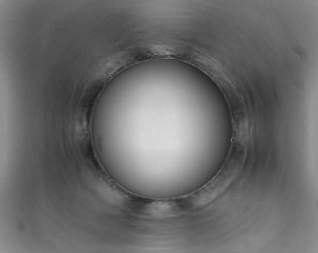 X0000111600418200907161557