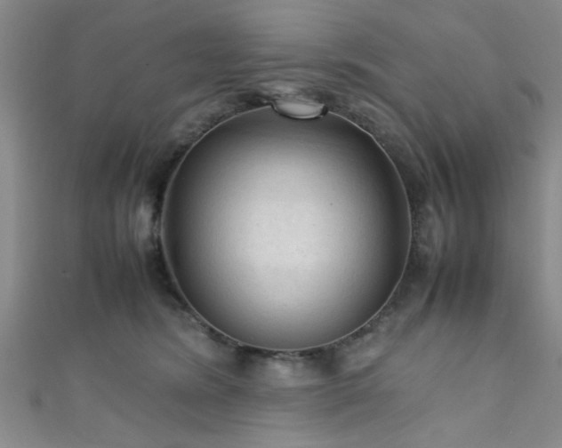 X0000111600420200907161557