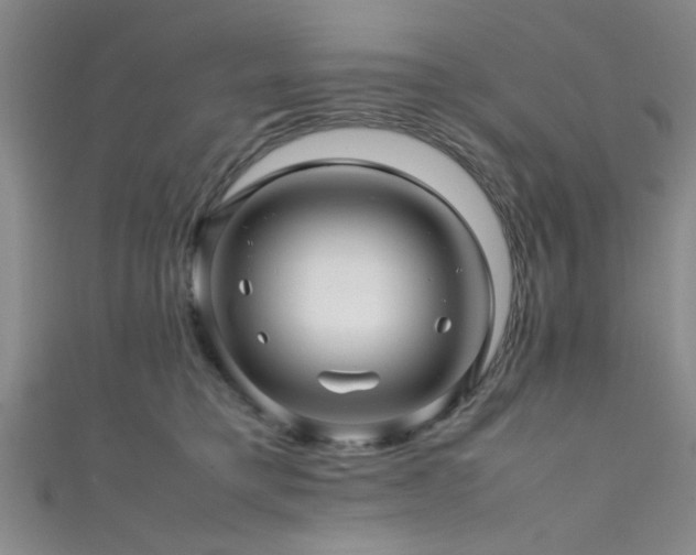 X0000111600421200907161557