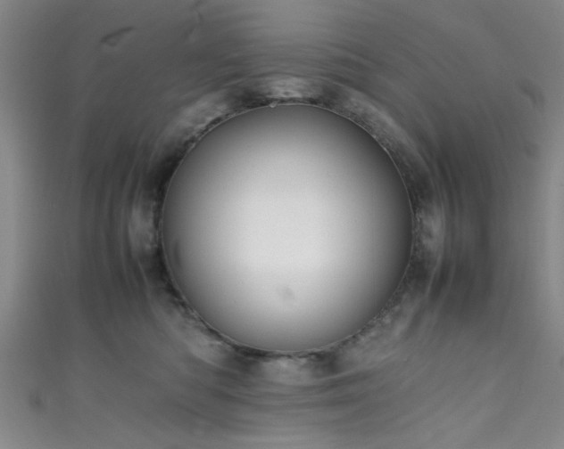X0000111600422200907161557