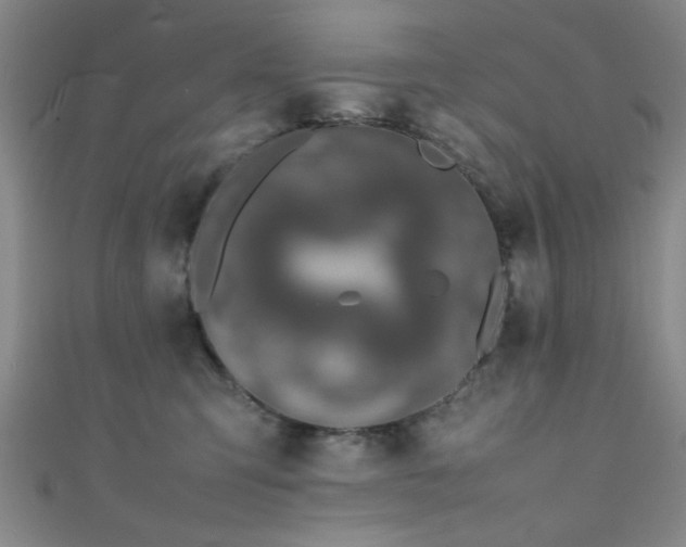 X0000111600423200907161557