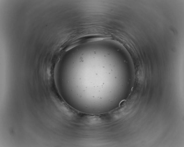 X0000111600424200907161557
