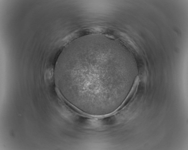 X0000111600425200907161557