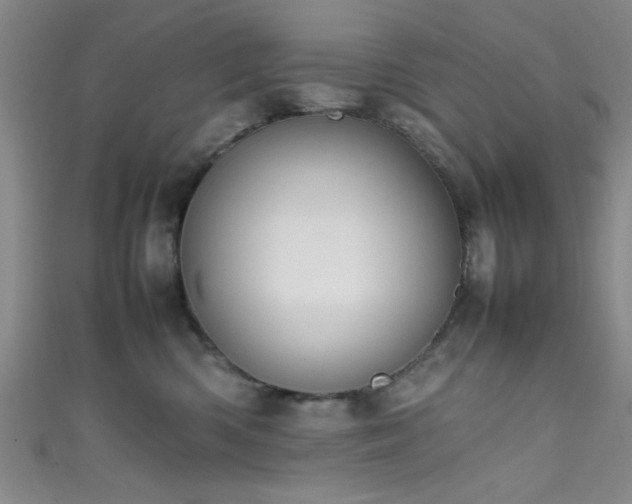 X0000111600426200907161557