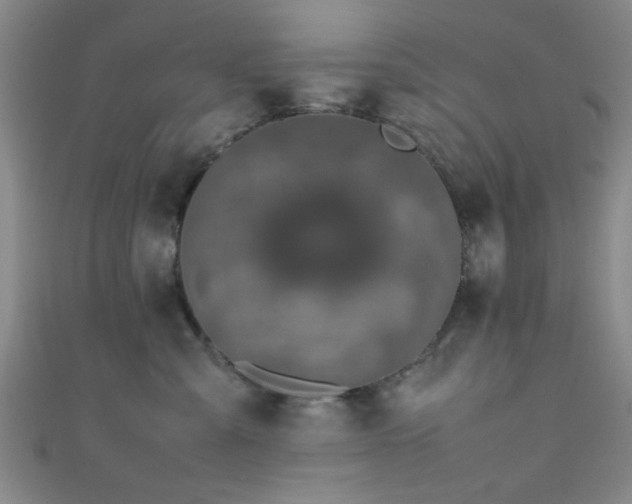 X0000111600427200907161557