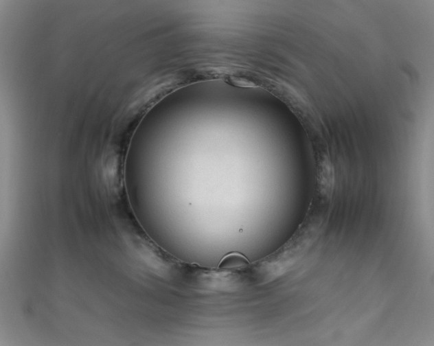 X0000111600428200907161556