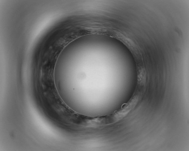 X0000111600430200907161556