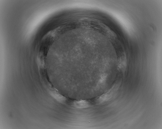 X0000111600431200907161556