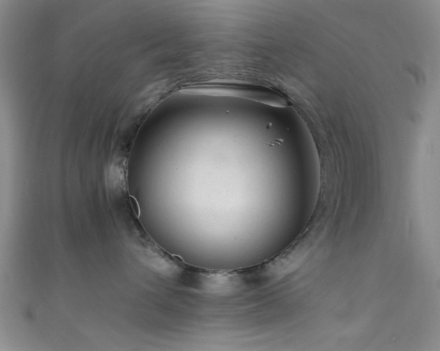 X0000111600432200907161556