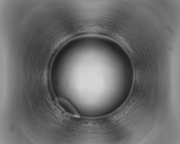 X0000111600434200907161556