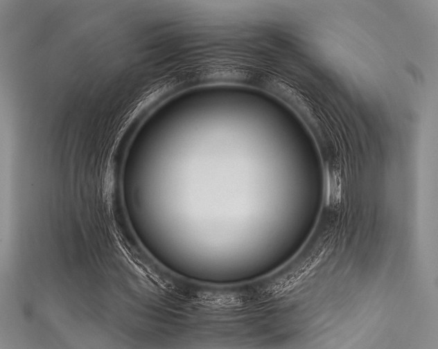 X0000111600435200907161556