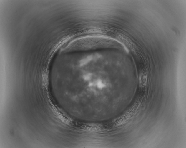 X0000111600436200907161556