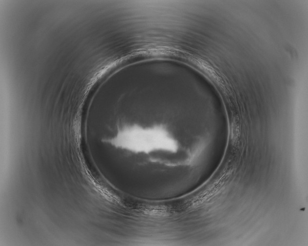 X0000111600438200907161556
