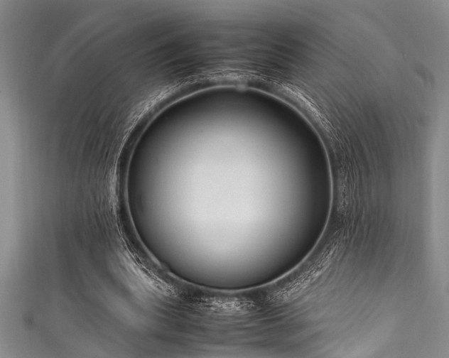X0000111600439200907161556