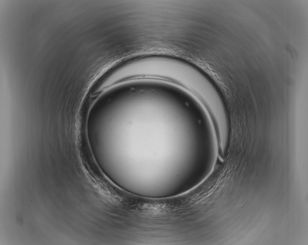 X0000111600440200907161556