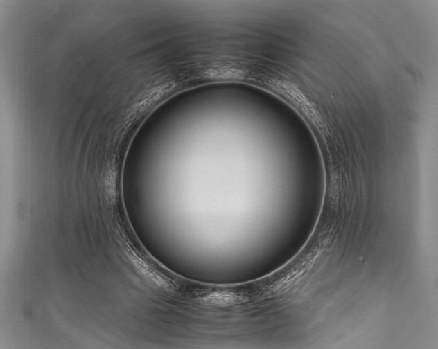 X0000111600441200907161556