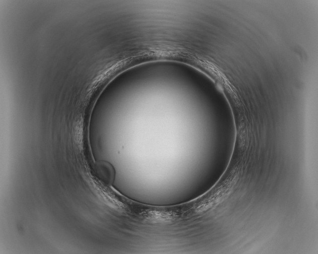 X0000111600442200907161556